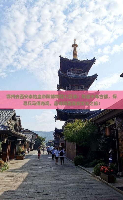 鄂州去西安秦始皇帝陵博物院七日游