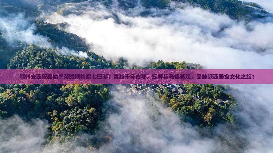 鄂州去西安秦始皇帝陵博物院七日游