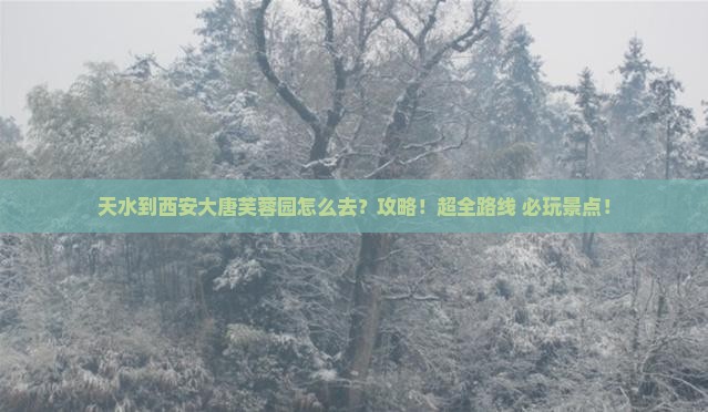 天水到西安大唐芙蓉园攻略