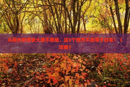 丽水去西安大唐不夜城必去地
