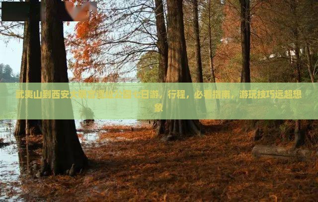 武夷山到西安大明宫国家遗址公园七日游
