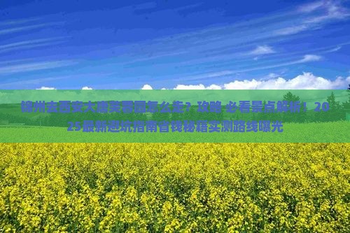 锦州去西安大唐芙蓉园必去地