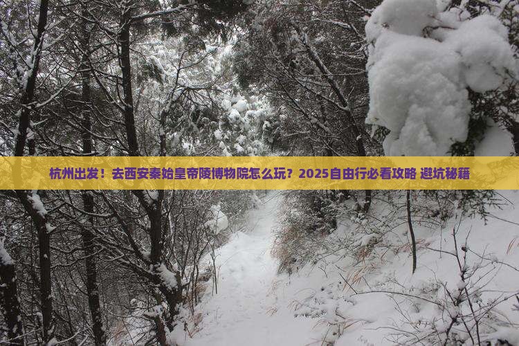 杭州到西安秦始皇帝陵博物院自由行