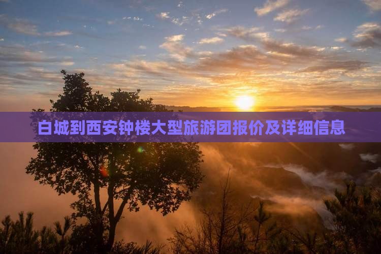 白城到西安钟楼大型旅游团