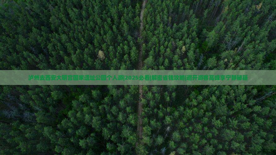 泸州去西安大明宫国家遗址公园个人游