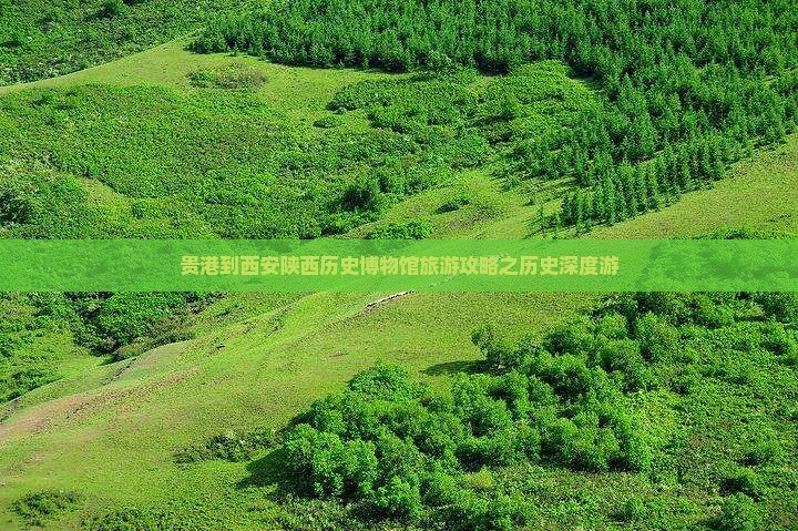 贵港去西安陕西历史博物馆个人游