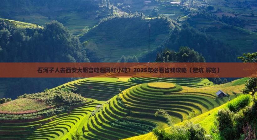石河子到西安大明宫国家遗址公园旅游小吃