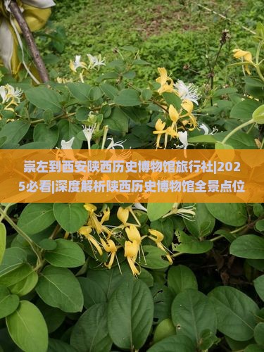 崇左到西安陕西历史博物馆旅行社