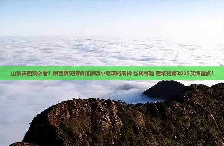 山南去西安陕西历史博物馆旅游小吃