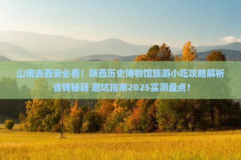山南去西安陕西历史博物馆旅游小吃