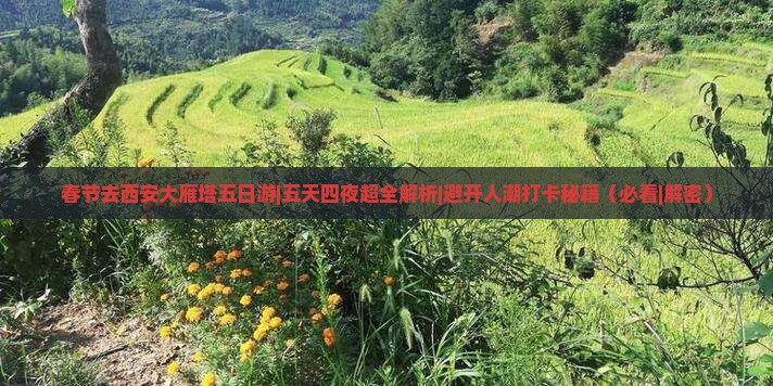春节去西安大雁塔五日游