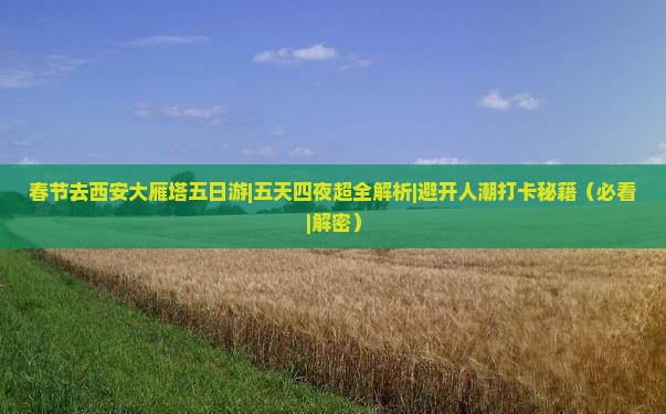 春节去西安大雁塔五日游