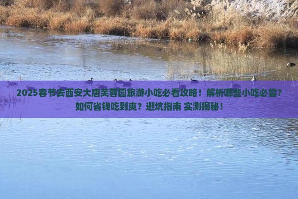 春节去西安大唐芙蓉园旅游小吃