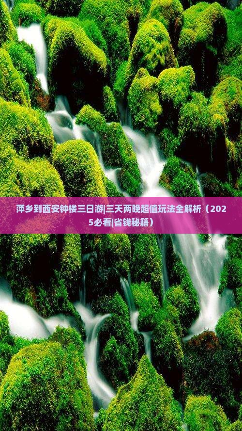 萍乡到西安钟楼三日游