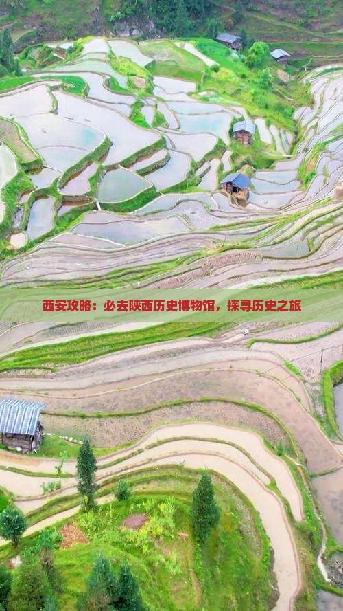 随州去西安陕西历史博物馆必去地