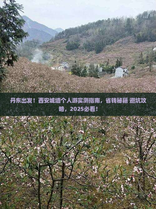 丹东去西安城墙个人游