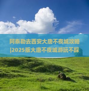 阿泰勒去西安大唐不夜城攻略