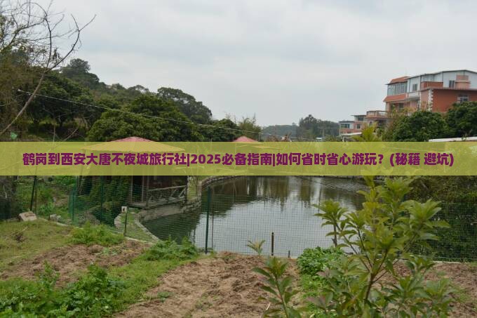 鹤岗到西安大唐不夜城旅行社