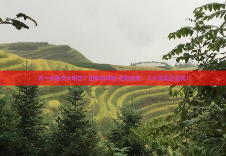 劳动节到西安大明宫国家遗址公园团体旅游