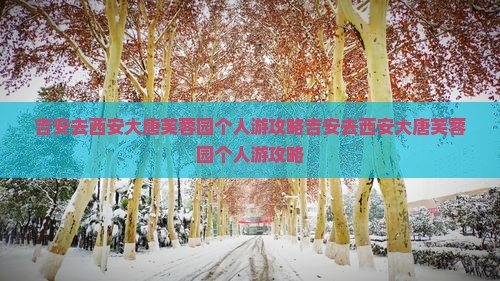 吉安去西安大唐芙蓉园个人游