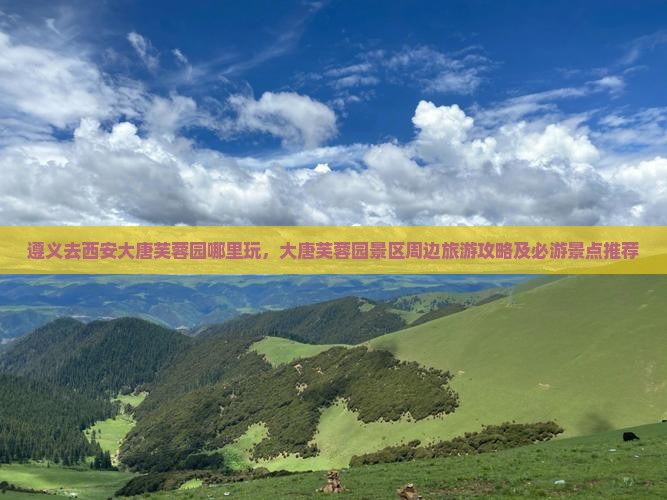 遵义去西安大唐芙蓉园哪里玩