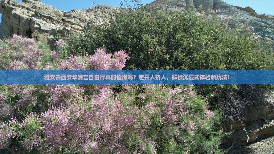 雅安去西安华清宫自由行