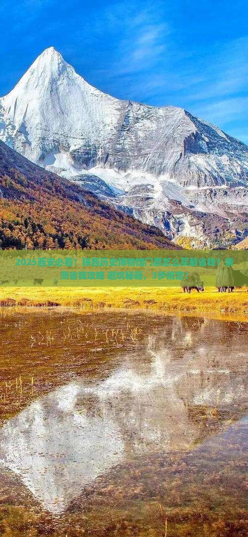 遂宁到西安陕西历史博物馆门票