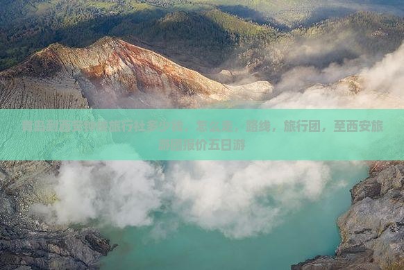 青岛到西安钟楼旅行社
