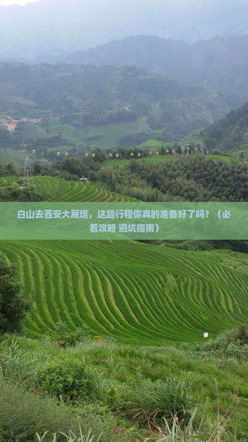 白山去西安大雁塔必去地