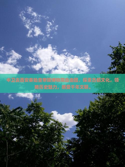 中卫去西安秦始皇帝陵博物院自由团