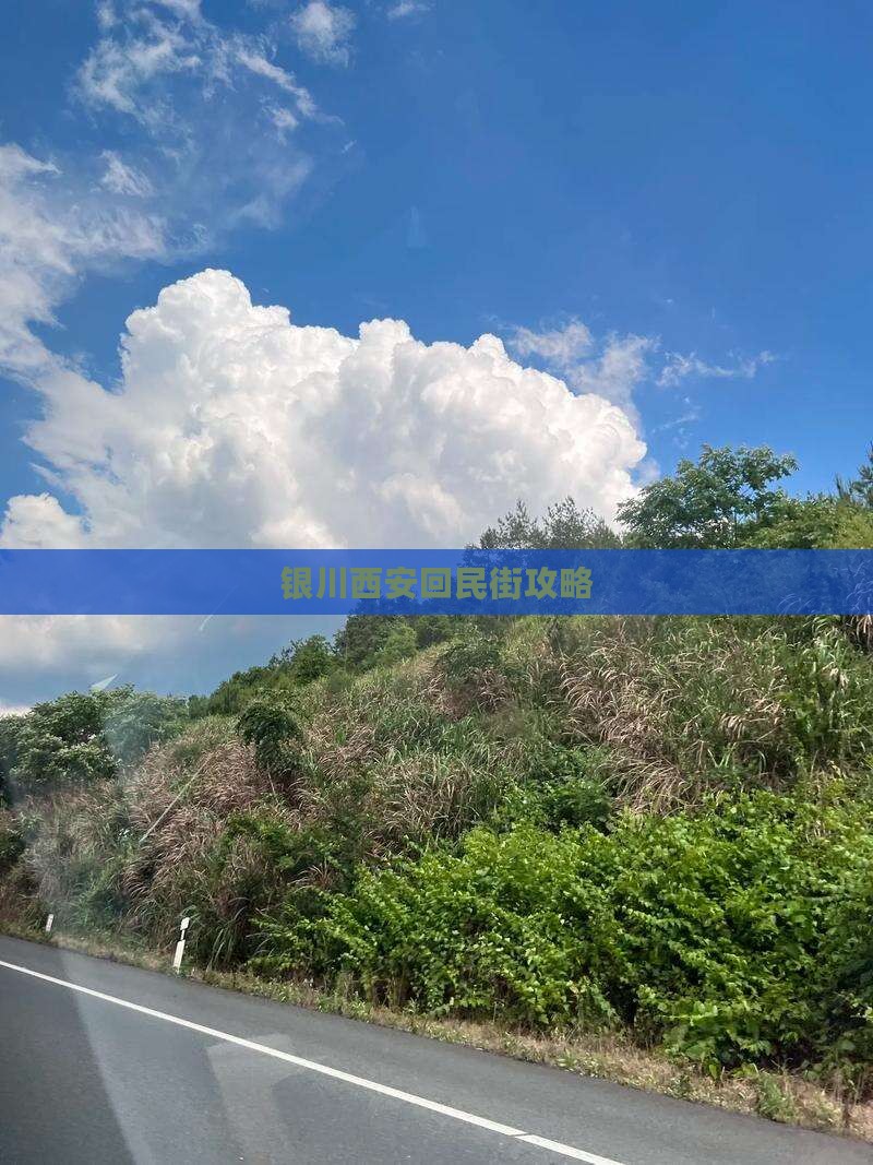 银川去西安回民街景点