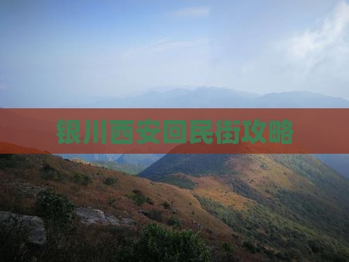 银川去西安回民街景点