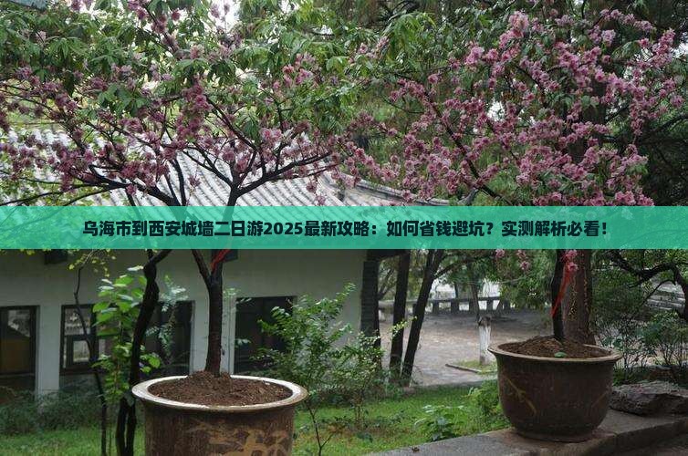 乌海市到西安城墙二日游