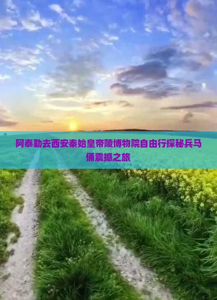 阿泰勒去西安秦始皇帝陵博物院自由行