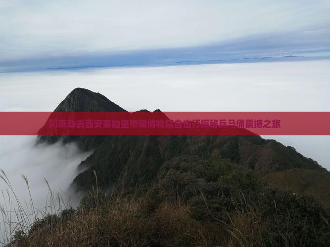 阿泰勒去西安秦始皇帝陵博物院自由行
