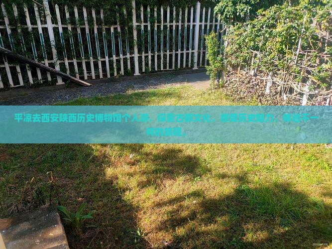 平凉去西安陕西历史博物馆个人游