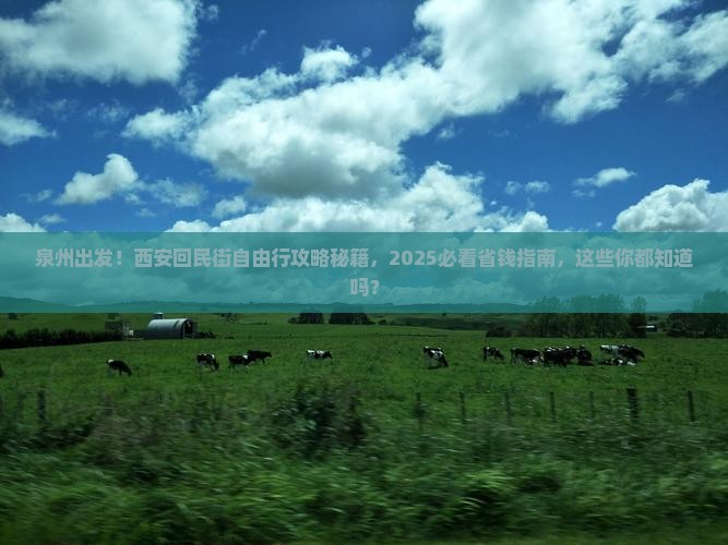 泉州到西安回民街自由团