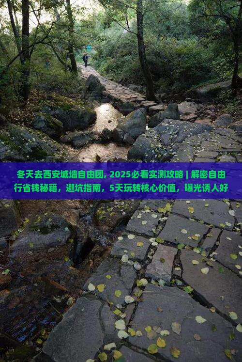 冬天去西安城墙自由团