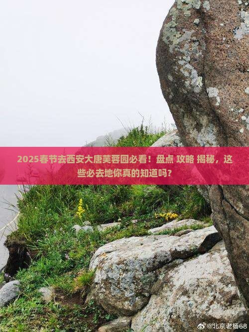 春节去西安大唐芙蓉园必去地