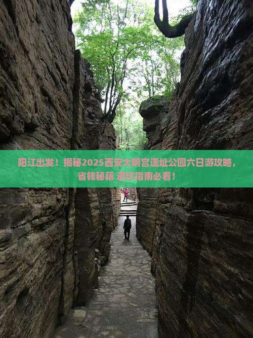 阳江到西安大明宫国家遗址公园六日游