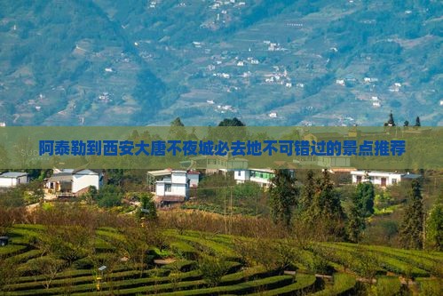 阿泰勒到西安大唐不夜城必去地
