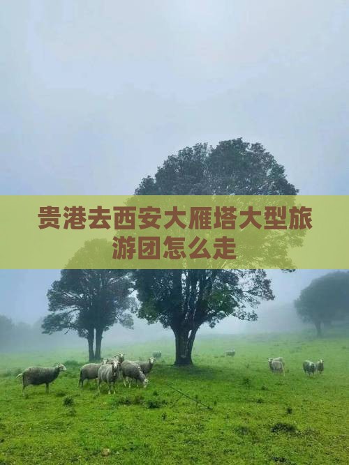 贵港去西安大雁塔大型旅游团