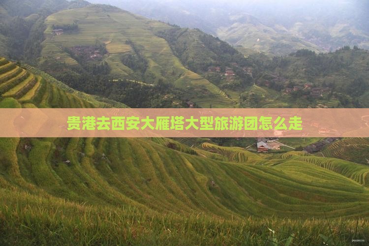贵港去西安大雁塔大型旅游团