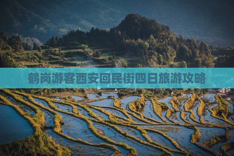 鹤岗去西安回民街四日游
