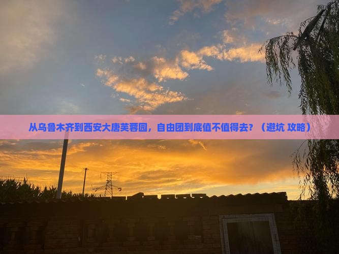 乌鲁木齐去西安大唐芙蓉园自由团