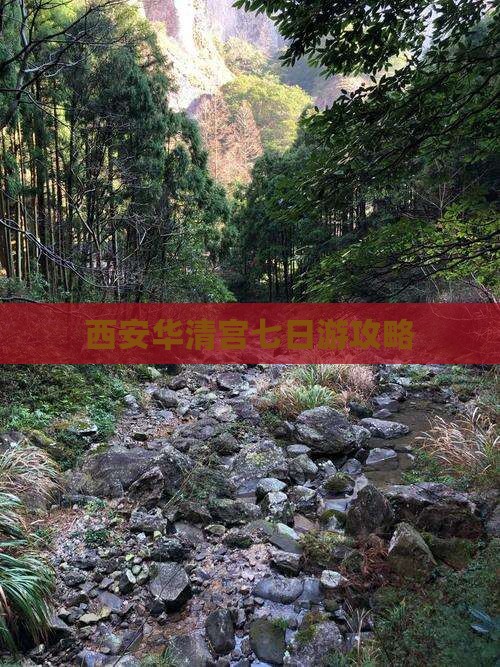 荆州到西安华清宫七日游