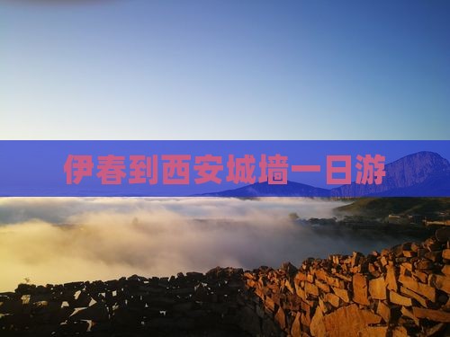 伊春到西安城墙一日游