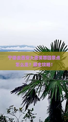 宁德去西安大唐芙蓉园景点