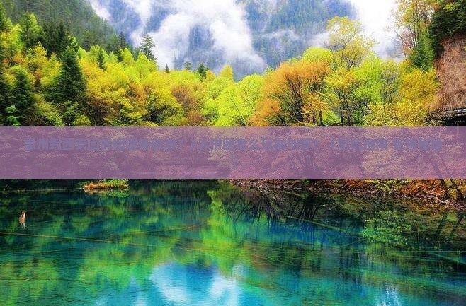 惠州到西安回民街团体旅游 惠州到西安回民街团体旅游