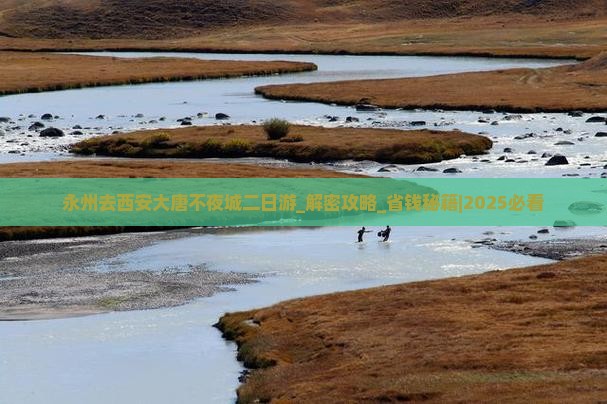 永州去西安大唐不夜城二日游